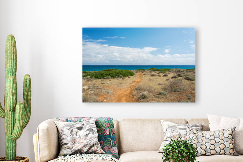Mediterranean Ocean Trail Reproduction
