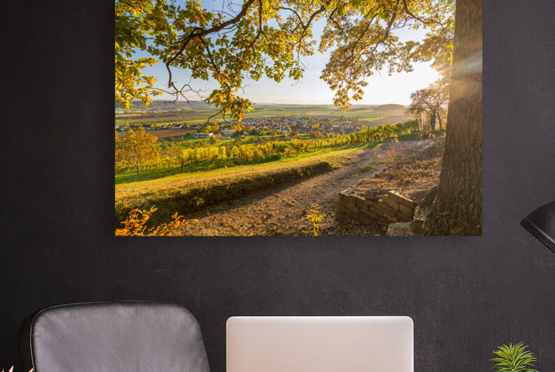 Vineyard Trail by caladoart