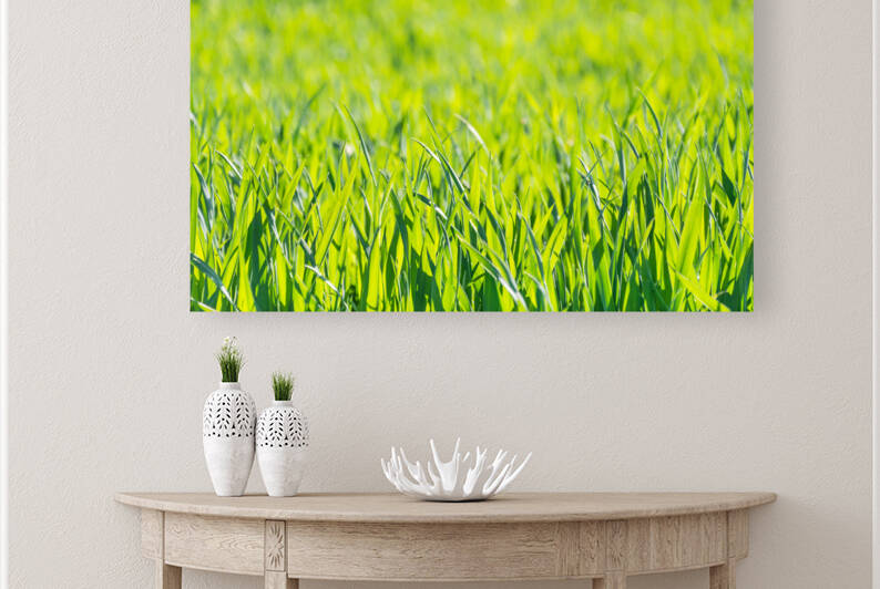 Macro photo of lush green grass by caladoart