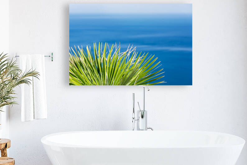 Dwarf palm on the island of Sicily Italy by caladoart