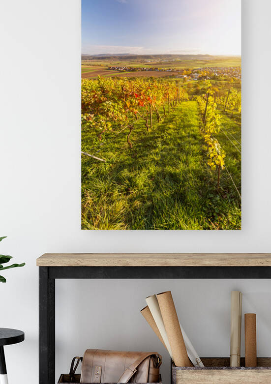 Vineyard Sunset by caladoart