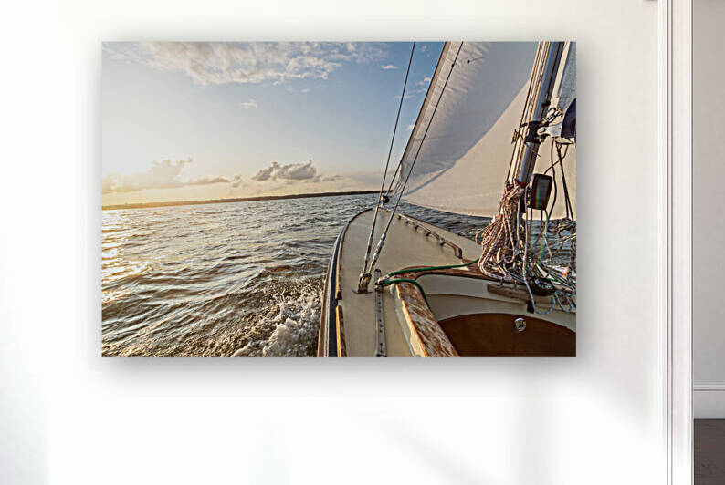 Sailing on the Baltic Sea near Flensburg in North Germany by caladoart