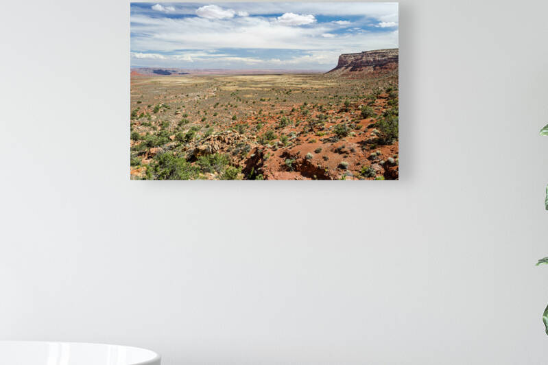 Desert landscape in the US Southwest by caladoart