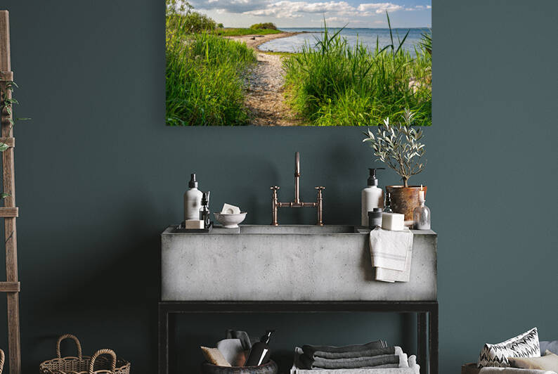 Scenic hiking trail alongside the Baltic Sea in Northern Germany by caladoart