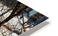 Organic Crossing HD Metal print