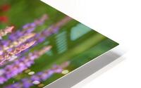 Lavender HD Metal print