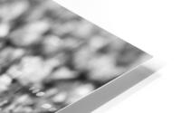 Frost HD Metal print