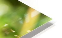 Nature HD Metal print