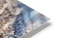 Frozen Leaf HD Metal print