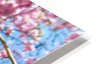 Cherry Blossom HD Metal print