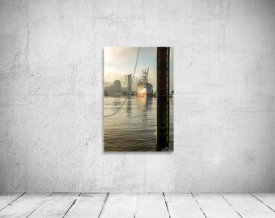 Cap San Diego and Elbphilharmonie at St. Pauli Landungsbrücken pier at the Elbe River in Hamburg Germany Wall Preview