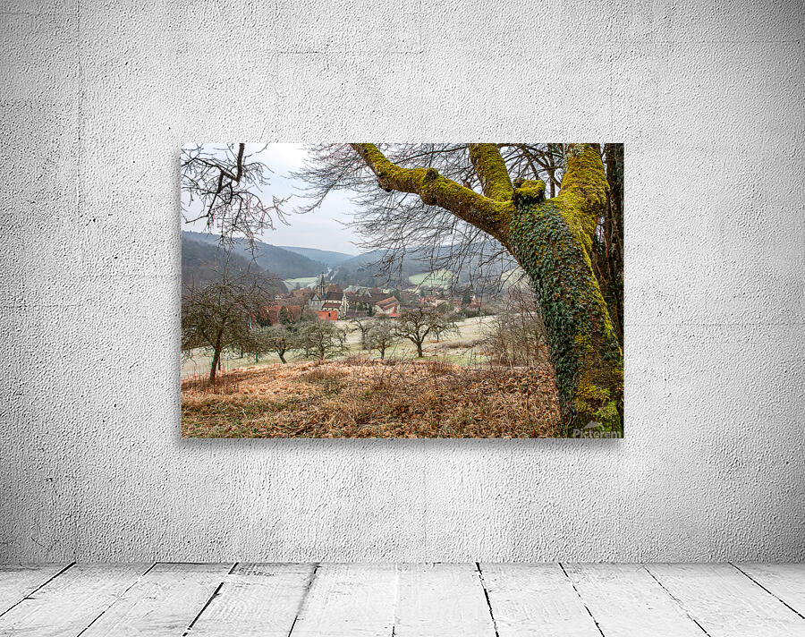 Landscape around the ancient monastery of Bebenhausen in winter Wall Preview