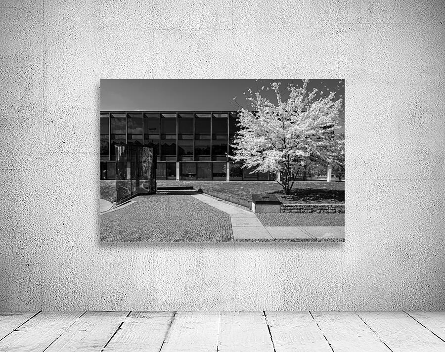 Black and White Spring Wall Preview