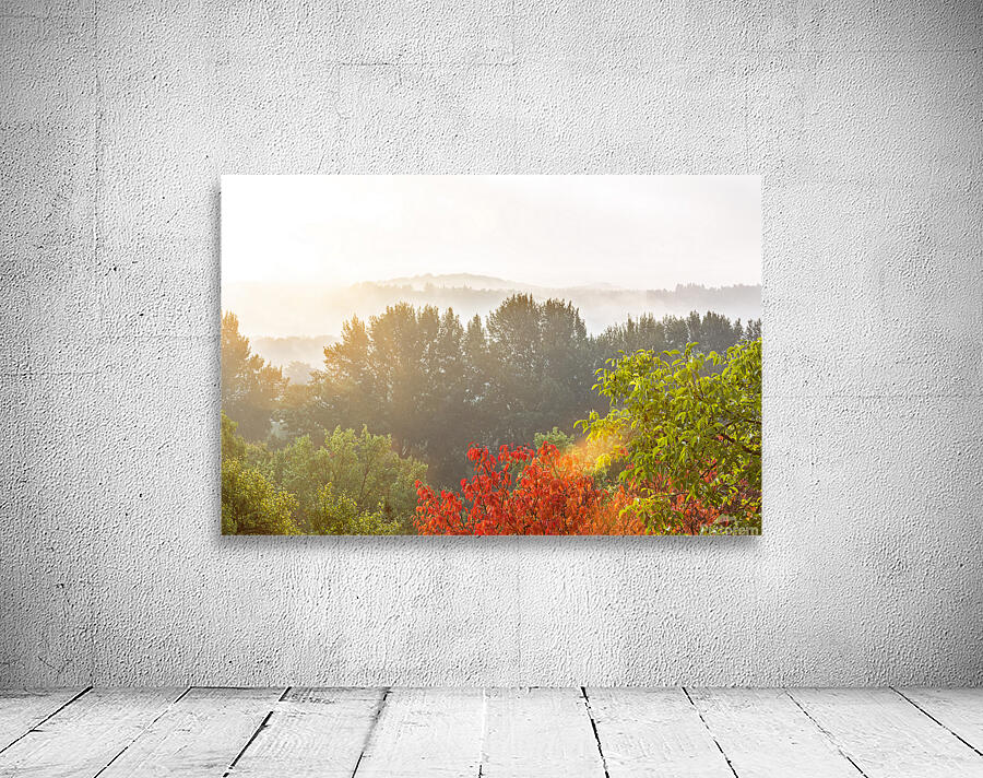 Autumn Wall Preview
