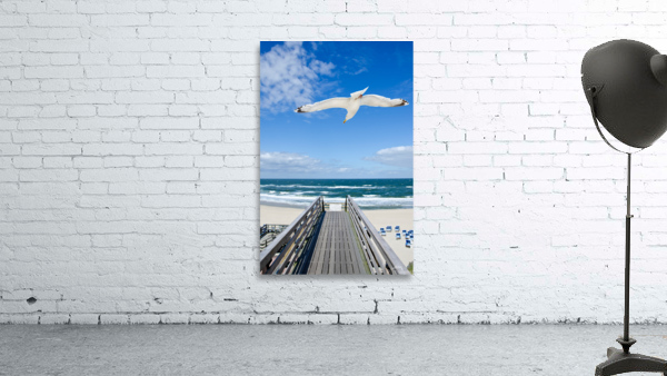 Seagull Wall Preview