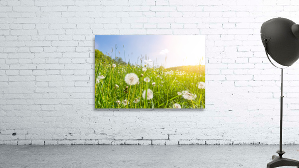 Blowball Flowers Wall Preview