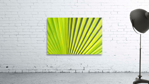 Leaf Wall Preview