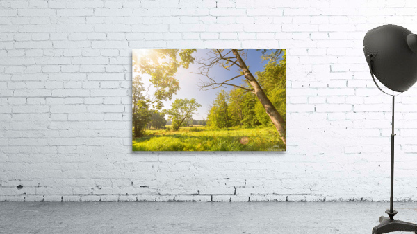 Park Wall Preview