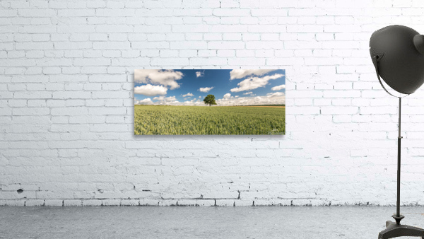 Tree Wall Preview