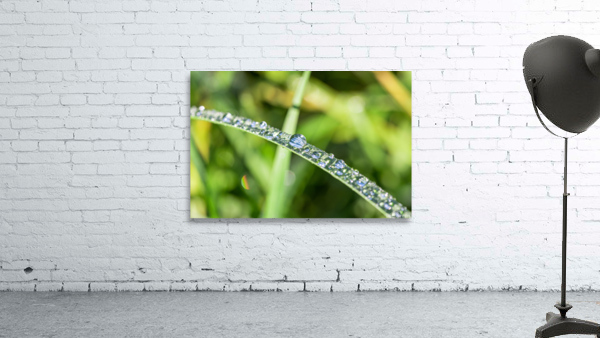 Nature Wall Preview