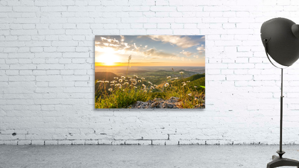 Mountain Flowers Wall Preview