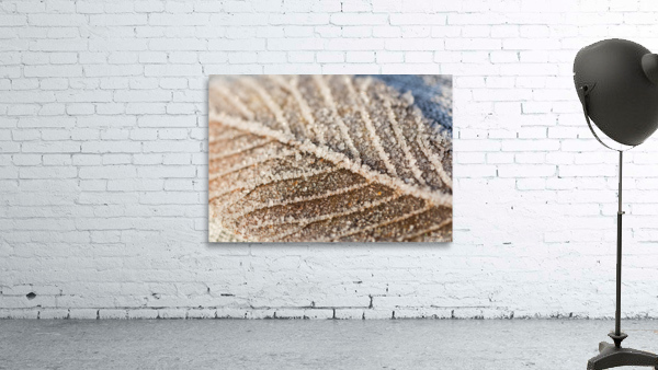 Frozen Leaf Wall Preview