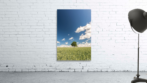 Lonely Tree Wall Preview