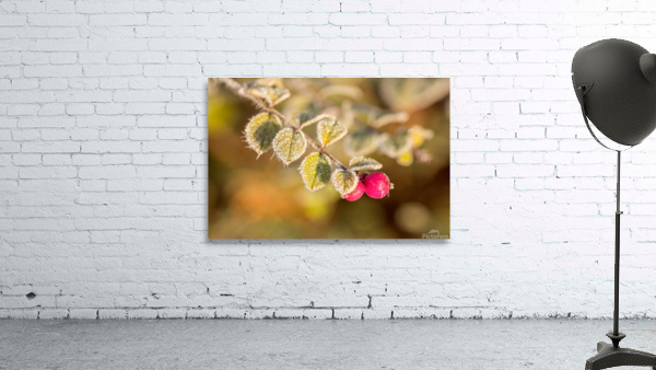 Frozen Berries Wall Preview
