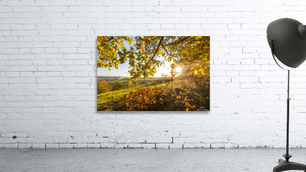 Vineyard View Wall Preview