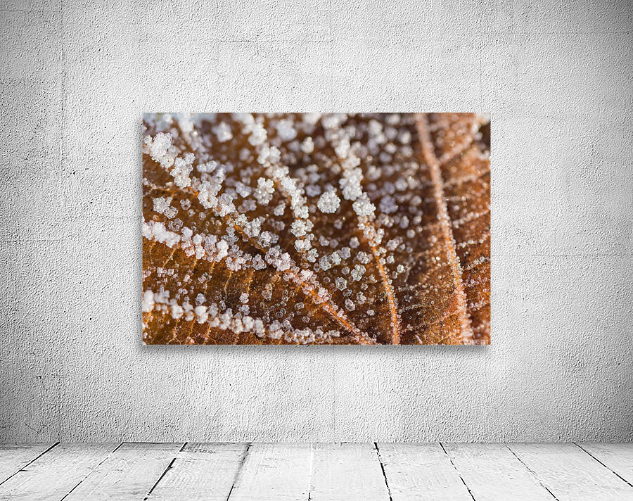 Winter Leaf Wall Preview