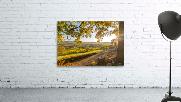 Vineyard Trail Wall Preview