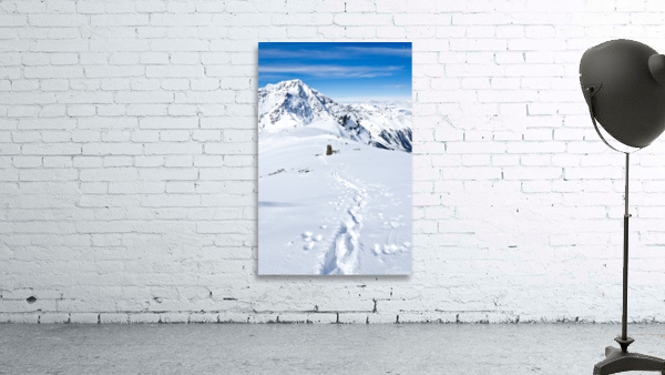 Ski Tour Wall Preview