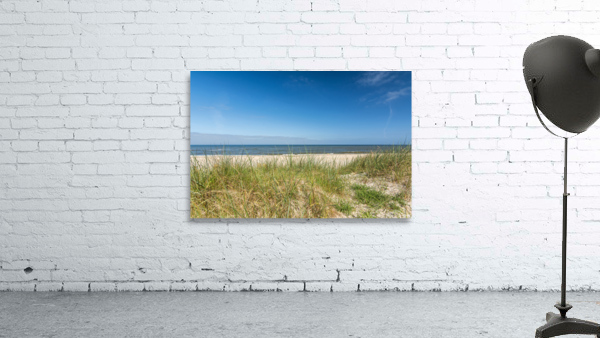 Ocean and Dunes Wall Preview