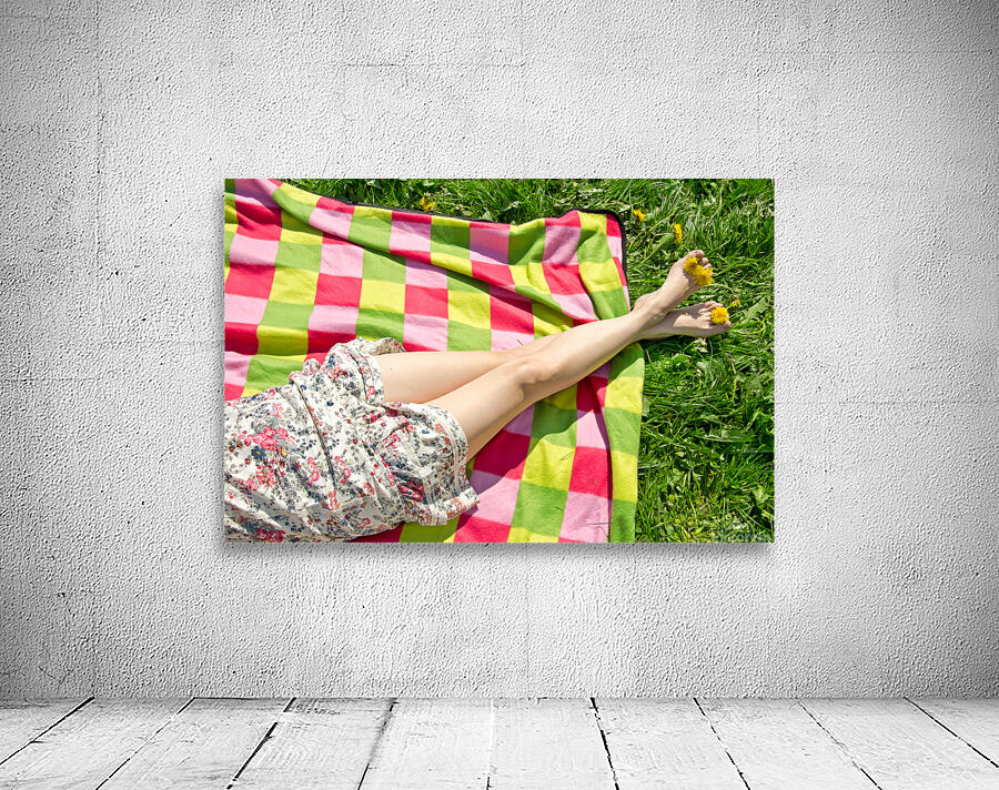 Picnic Wall Preview