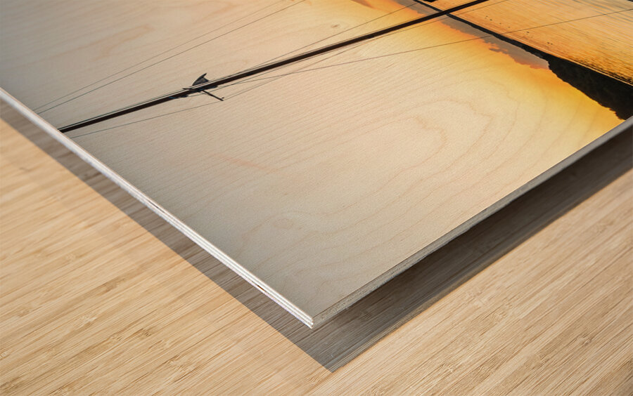 Sailing boats coming back into the harbour during scenic sunset at the Baltic Sea in Northern Germany Wood print