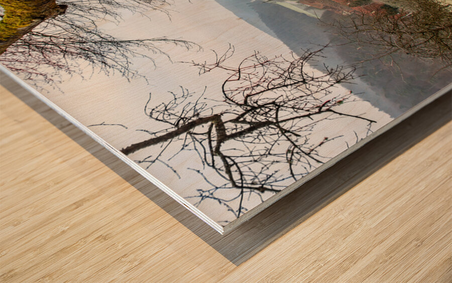 Landscape around the ancient monastery of Bebenhausen in winter Wood print