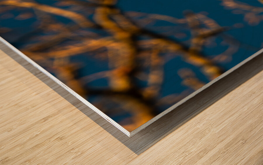 Beautiful image of a crescent moon seen through three branches at sunset  Wood print