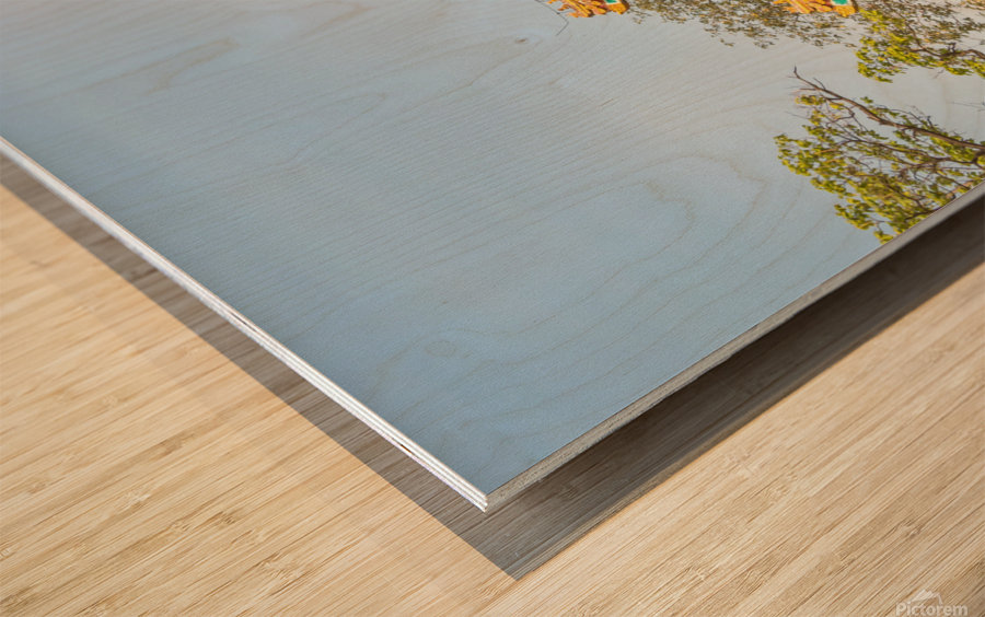 Buddhist Lama Temple Wood print