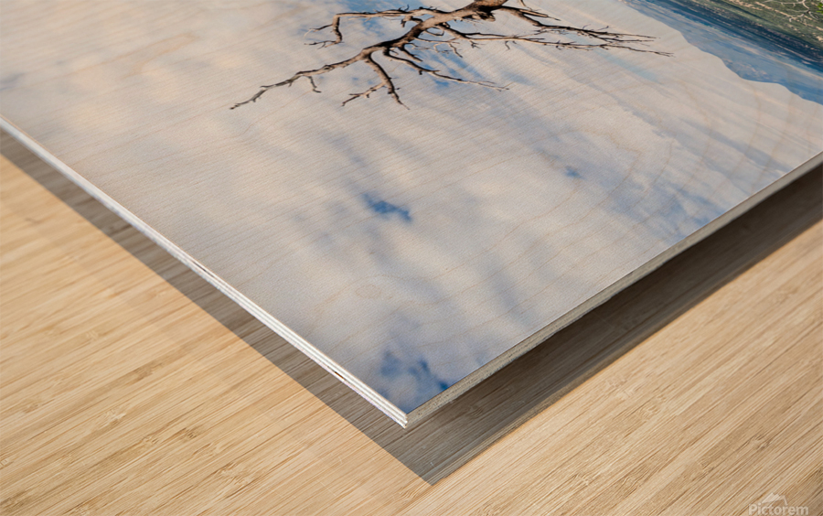 Desert Tree Wood print