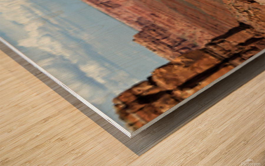 Desert 360 Wood print