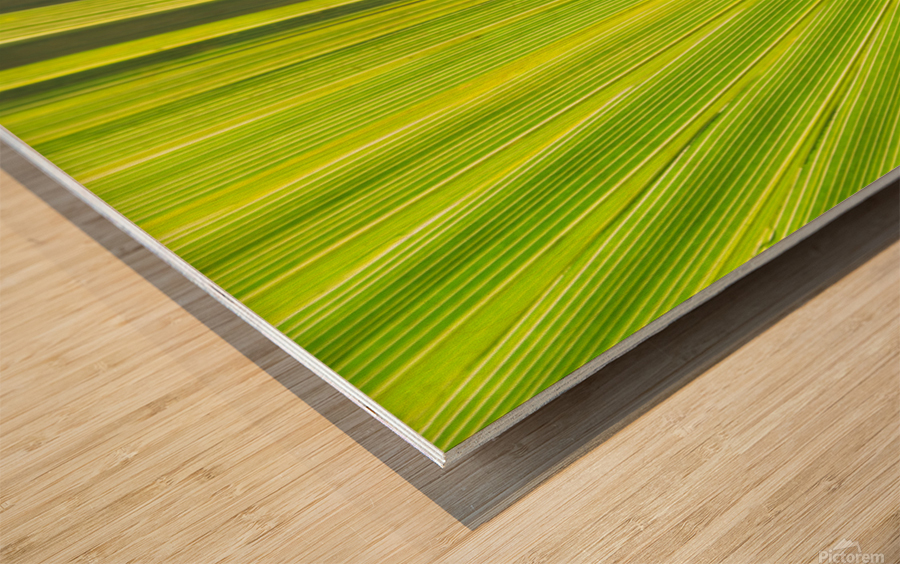 Leaf Wood print