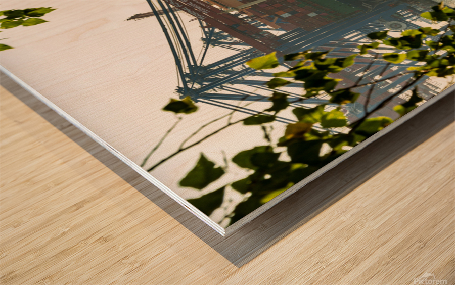 Harbor View Wood print