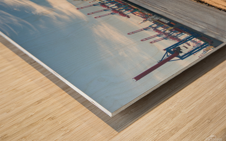 Ship Spotting Wood print