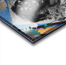 Left Unseen Acrylic print