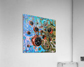 Counterclockwise  Morning Acrylic Print