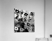 Flower Gunshot Acrylic Print