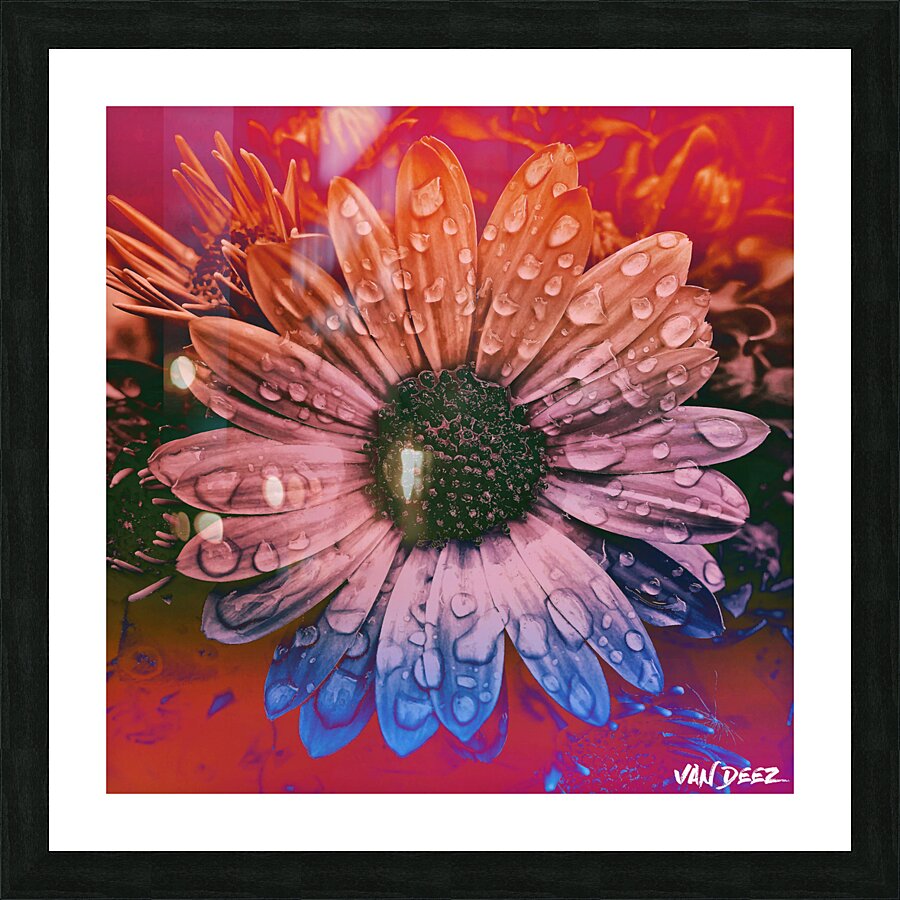 Sunflower Seeds Picture Frame print
