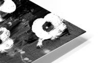 Flower Gunshot HD Metal print