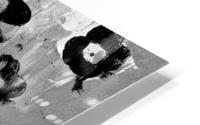 Flower Gunshot HD Metal print
