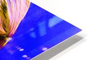 Illegal Trickshot HD Metal print